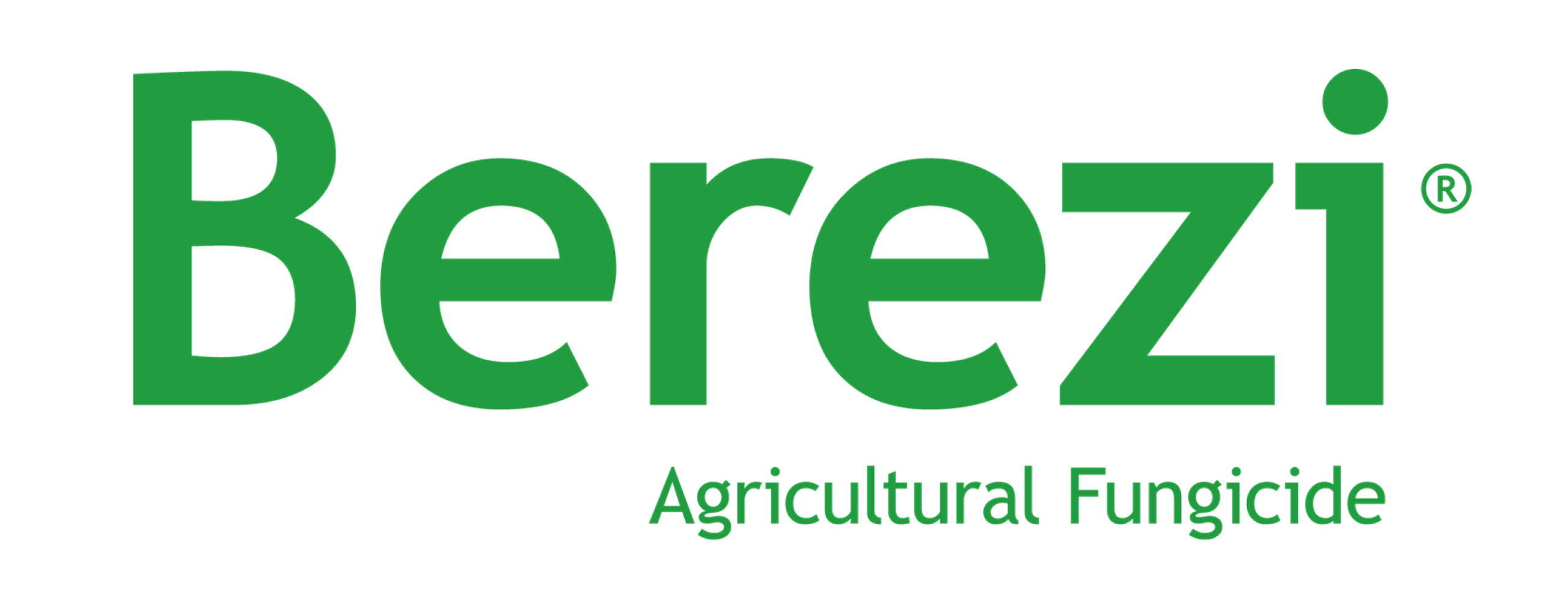 Berezi-Logo